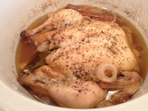 Crock-pot chicken